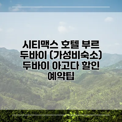 시티맥스 호텔 부르 두바이 (가성비숙소) 두바이 아고다 할인 예약팁