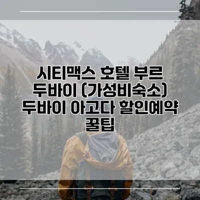 시티맥스 호텔 부르 두바이 (가성비숙소) 두바이 아고다 할인예약 꿀팁