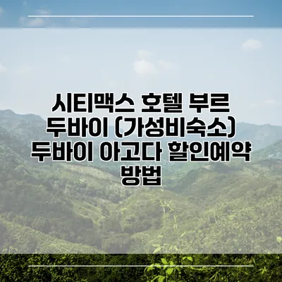 시티맥스 호텔 부르 두바이 (가성비숙소) 두바이 아고다 할인예약 방법