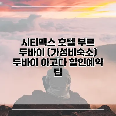 시티맥스 호텔 부르 두바이 (가성비숙소) 두바이 아고다 할인예약 팁
