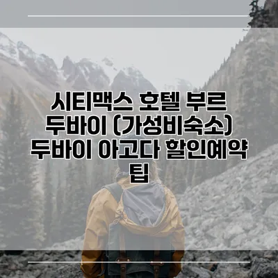 시티맥스 호텔 부르 두바이 (가성비숙소) 두바이 아고다 할인예약 팁
