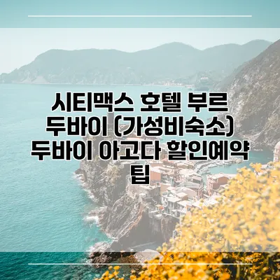 시티맥스 호텔 부르 두바이 (가성비숙소) 두바이 아고다 할인예약 팁