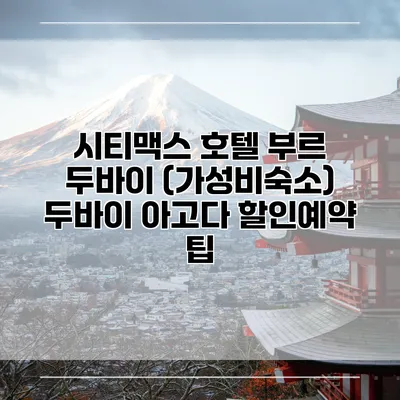 시티맥스 호텔 부르 두바이 (가성비숙소) 두바이 아고다 할인예약 팁