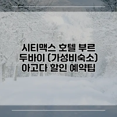 시티맥스 호텔 부르 두바이 (가성비숙소) 아고다 할인 예약팁