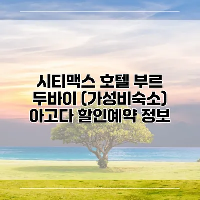 시티맥스 호텔 부르 두바이 (가성비숙소) 아고다 할인예약 정보