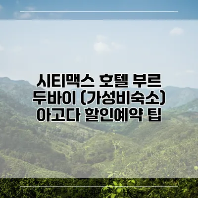 시티맥스 호텔 부르 두바이 (가성비숙소) 아고다 할인예약 팁