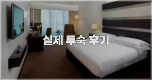 💬 실제 투숙 후기