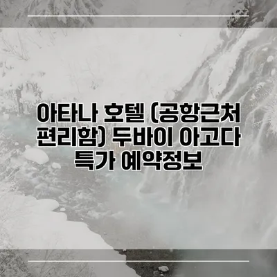 아타나 호텔 (공항근처 편리함) 두바이 아고다 특가 예약정보