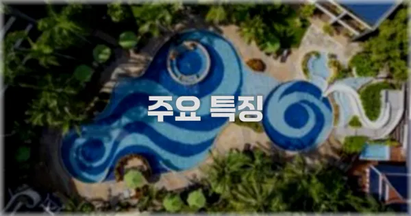 ✨ 주요 특징