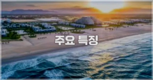 ✨ 주요 특징