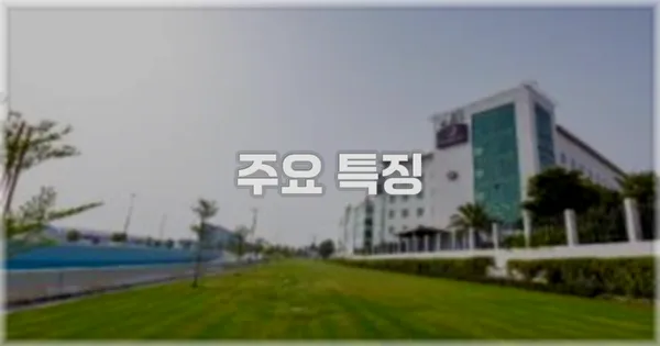 ✨ 주요 특징