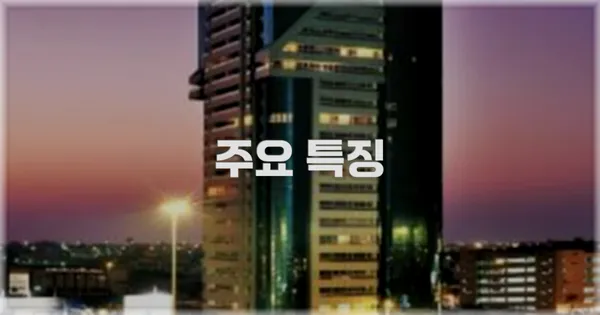 ✨ 주요 특징