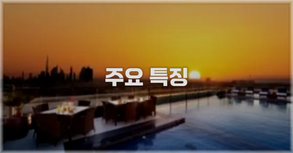 ✨ 주요 특징
