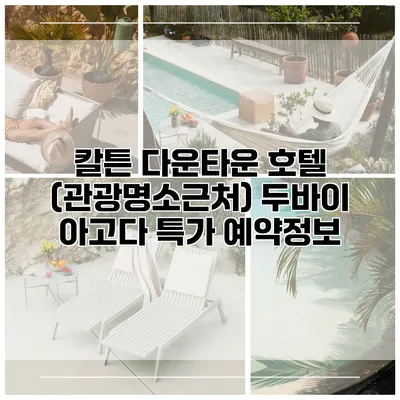 칼튼 다운타운 호텔 (관광명소근처) 두바이 아고다 특가 예약정보