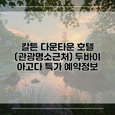 칼튼 다운타운 호텔 (관광명소근처) 두바이 아고다 특가 예약정보