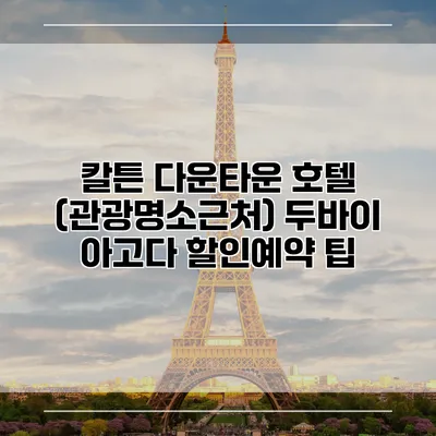 칼튼 다운타운 호텔 (관광명소근처) 두바이 아고다 할인예약 팁