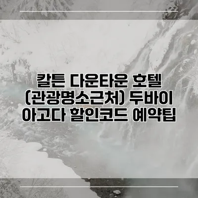 칼튼 다운타운 호텔 (관광명소근처) 두바이 아고다 할인코드 예약팁