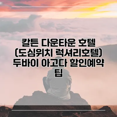 칼튼 다운타운 호텔 (도심위치 럭셔리호텔) 두바이 아고다 할인예약 팁
