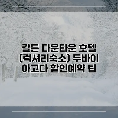 칼튼 다운타운 호텔 (럭셔리숙소) 두바이 아고다 할인예약 팁