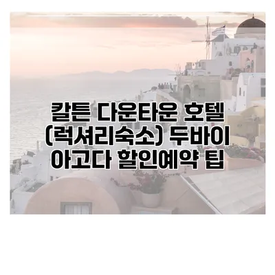 칼튼 다운타운 호텔 (럭셔리숙소) 두바이 아고다 할인예약 팁