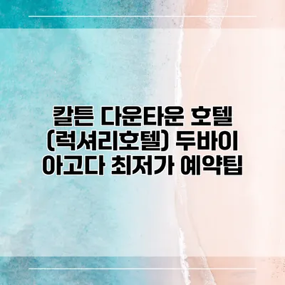 칼튼 다운타운 호텔 (럭셔리호텔) 두바이 아고다 최저가 예약팁