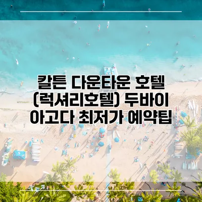 칼튼 다운타운 호텔 (럭셔리호텔) 두바이 아고다 최저가 예약팁