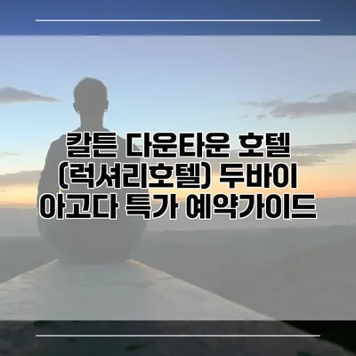 칼튼 다운타운 호텔 (럭셔리호텔) 두바이 아고다 특가 예약가이드