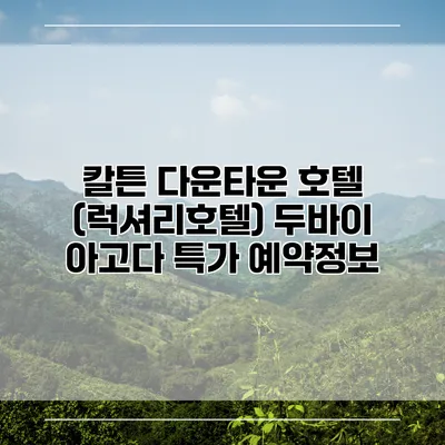 칼튼 다운타운 호텔 (럭셔리호텔) 두바이 아고다 특가 예약정보