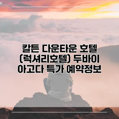 칼튼 다운타운 호텔 (럭셔리호텔) 두바이 아고다 특가 예약정보