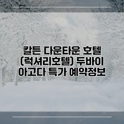 칼튼 다운타운 호텔 (럭셔리호텔) 두바이 아고다 특가 예약정보