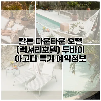 칼튼 다운타운 호텔 (럭셔리호텔) 두바이 아고다 특가 예약정보