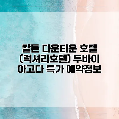 칼튼 다운타운 호텔 (럭셔리호텔) 두바이 아고다 특가 예약정보