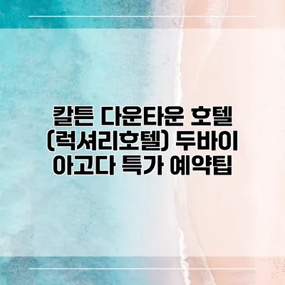 칼튼 다운타운 호텔 (럭셔리호텔) 두바이 아고다 특가 예약팁