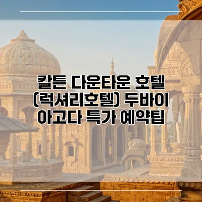 칼튼 다운타운 호텔 (럭셔리호텔) 두바이 아고다 특가 예약팁