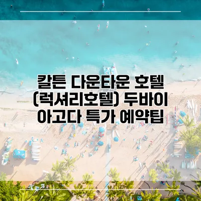 칼튼 다운타운 호텔 (럭셔리호텔) 두바이 아고다 특가 예약팁