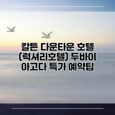 칼튼 다운타운 호텔 (럭셔리호텔) 두바이 아고다 특가 예약팁