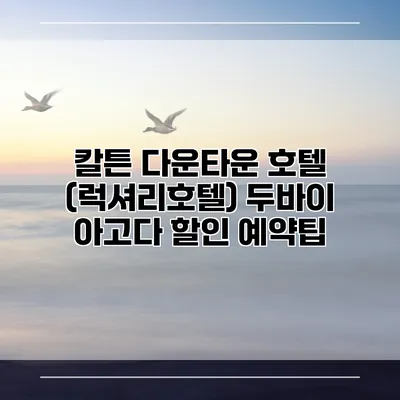 칼튼 다운타운 호텔 (럭셔리호텔) 두바이 아고다 할인 예약팁