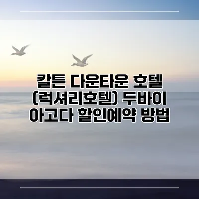 칼튼 다운타운 호텔 (럭셔리호텔) 두바이 아고다 할인예약 방법