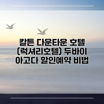 칼튼 다운타운 호텔 (럭셔리호텔) 두바이 아고다 할인예약 비법