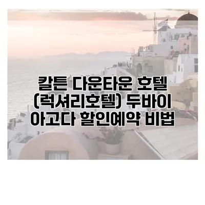 칼튼 다운타운 호텔 (럭셔리호텔) 두바이 아고다 할인예약 비법