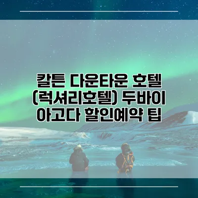 칼튼 다운타운 호텔 (럭셔리호텔) 두바이 아고다 할인예약 팁