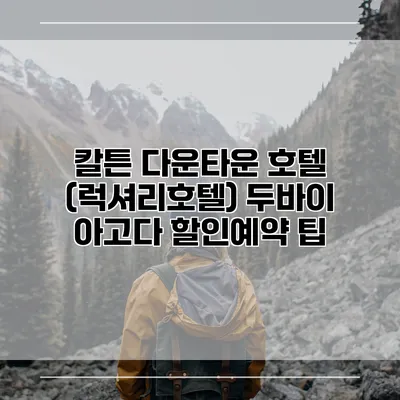 칼튼 다운타운 호텔 (럭셔리호텔) 두바이 아고다 할인예약 팁