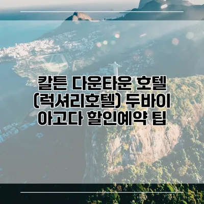 칼튼 다운타운 호텔 (럭셔리호텔) 두바이 아고다 할인예약 팁
