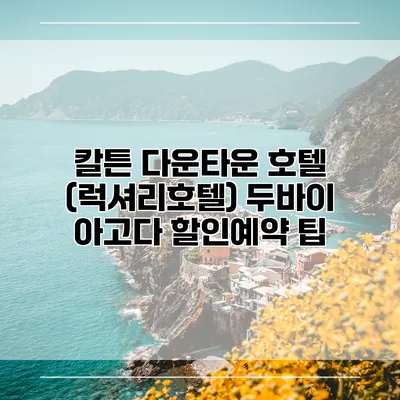 칼튼 다운타운 호텔 (럭셔리호텔) 두바이 아고다 할인예약 팁
