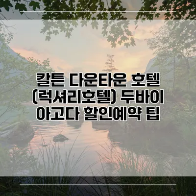 칼튼 다운타운 호텔 (럭셔리호텔) 두바이 아고다 할인예약 팁