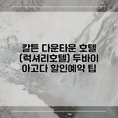 칼튼 다운타운 호텔 (럭셔리호텔) 두바이 아고다 할인예약 팁