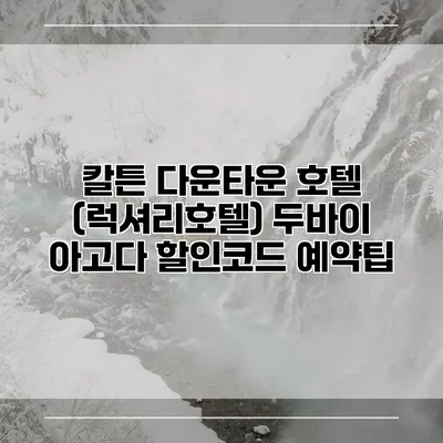 칼튼 다운타운 호텔 (럭셔리호텔) 두바이 아고다 할인코드 예약팁