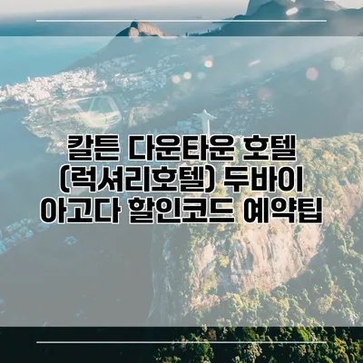 칼튼 다운타운 호텔 (럭셔리호텔) 두바이 아고다 할인코드 예약팁