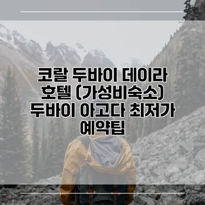 코랄 두바이 데이라 호텔 (가성비숙소) 두바이 아고다 최저가 예약팁