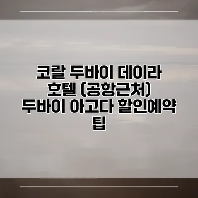 코랄 두바이 데이라 호텔 (공항근처) 두바이 아고다 할인예약 팁